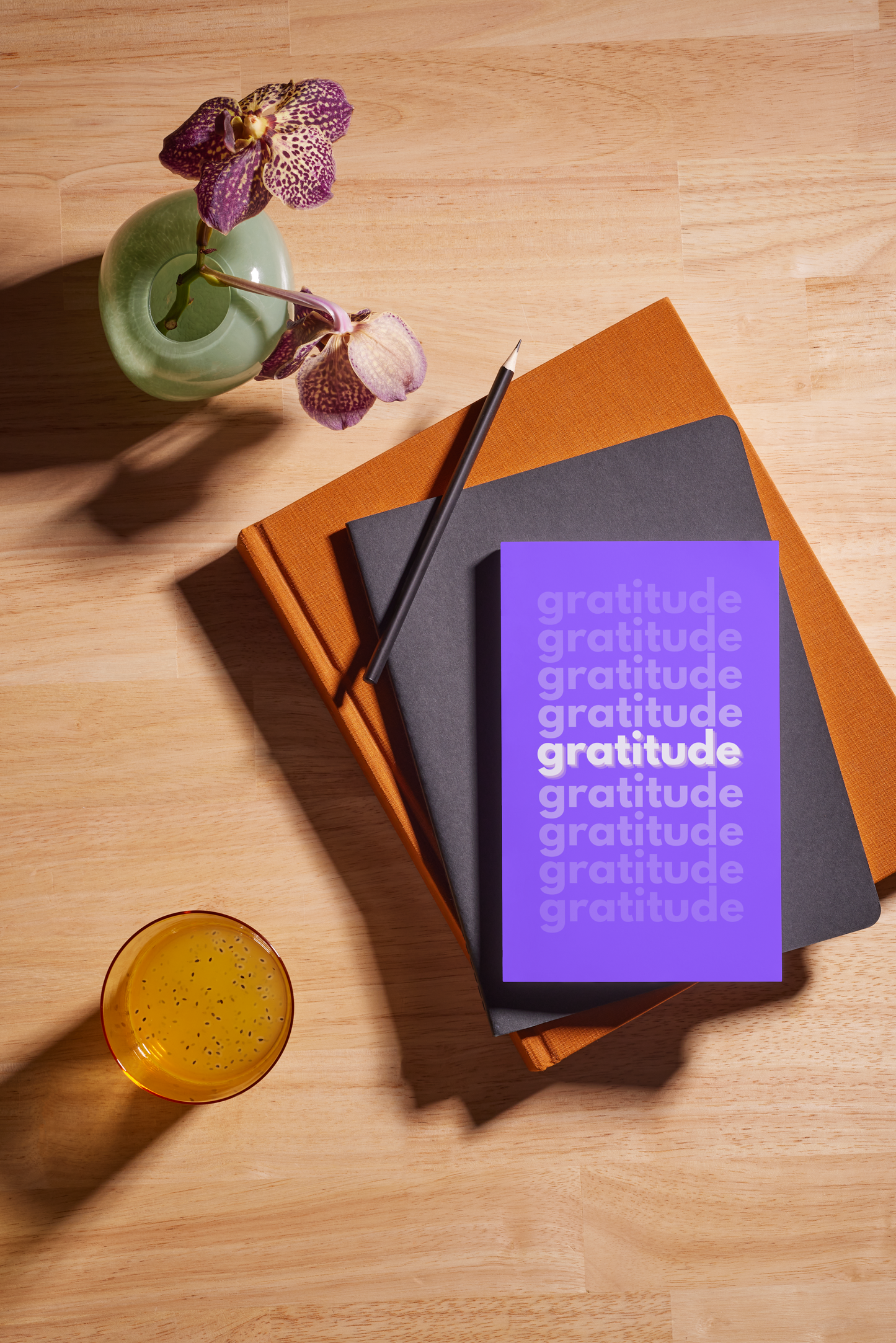 Gratitude Journal: Find Joy in the Little Things – One Day at a Time